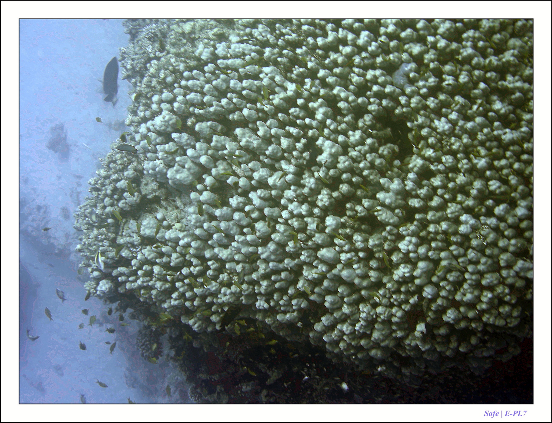 2023 - 03 - Charm El Sheikh - 11